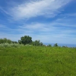 Парцел в Бяла - 8600 кв.м за 36 €/кв.м - Снимка #1