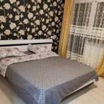 Дава се под наем Тристаен апартамент в Пловдив, Каменица 1 - 90 кв.м за 270.3 € - Снимка #1