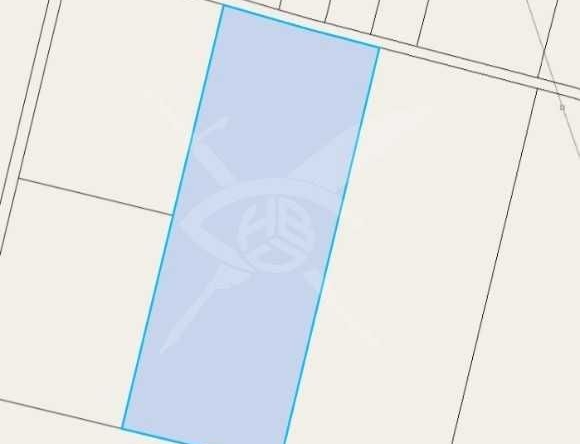 Парцел в с. Кошарица, Област Бургас - 8109 кв.м за 18 €/кв.м - Снимка #1