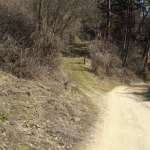 Парцел в с. Батулия, Област София-област - 570 кв.м за 18 €/кв.м - Снимка #1