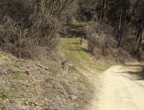 Парцел в с. Батулия, Област София-област - 570 кв.м за 18 €/кв.м - Снимка #1