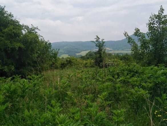 Къща в Велико Търново, Акация - 125 кв.м за 200 €/кв.м - Снимка #1