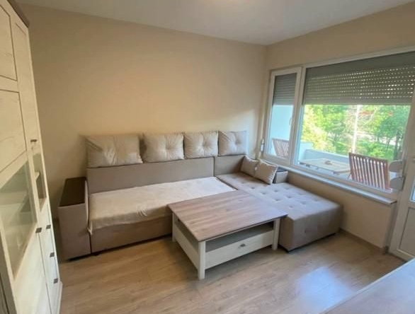 Дава се под наем Двустаен апартамент в София, Хаджи Димитър - 70 кв.м за 549 € - Снимка #1