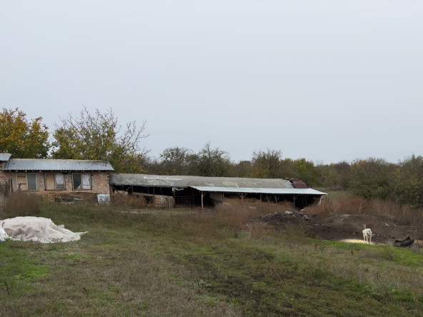 Земеделски имот в Търговище, Вилна зона -  кв.м за 3188 €/дка - Снимка #1