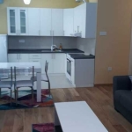 Дава се под наем Двустаен апартамент в Пловдив, Каменица 1 - 65 кв.м за 219.3 € - Снимка #1