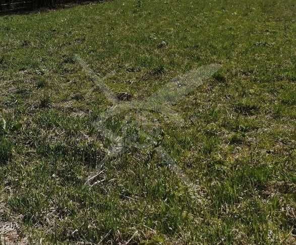 Парцел в с. Караджалово, Област Пловдив - 1100 кв.м за 9 €/кв.м - Снимка #1