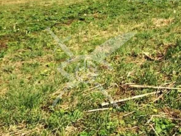 Парцел в Перущица - 37000 кв.м за 3 €/кв.м - Снимка #1