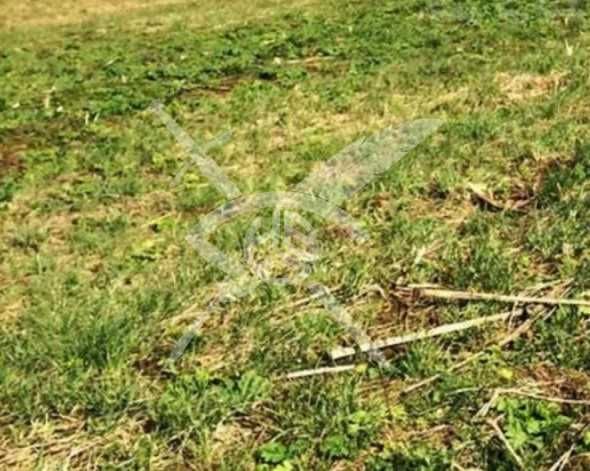 Парцел в с. Катуница, Област Пловдив - 1972 кв.м за 9 €/кв.м - Снимка #1