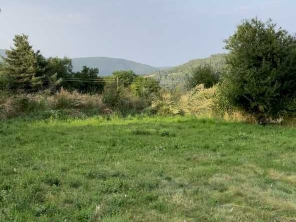 Парцел в с. Добралък, Област Пловдив - 3000 кв.м за 17 €/кв.м - Снимка #1