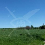 Парцел в с. Ягодово, Област Пловдив - 835 кв.м за 108 €/кв.м - Снимка #1