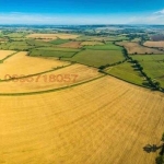 Земеделски имот в с. Карапелит, Област Добрич -  кв.м за 2210 €/дка - Снимка #1