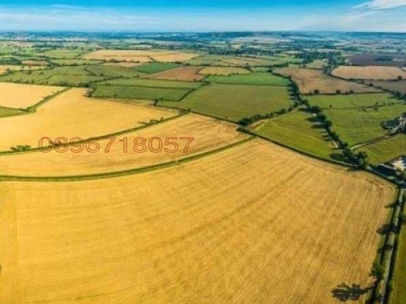 Земеделски имот в с. Карапелит, Област Добрич -  кв.м за 2210 €/дка - Снимка #1