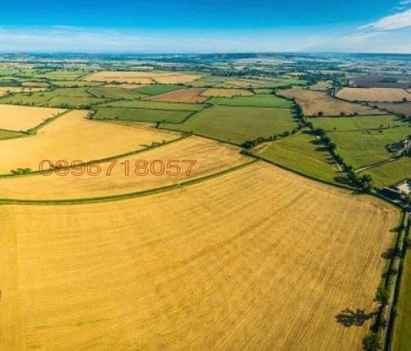 Земеделски имот в с. Карапелит, Област Добрич -  кв.м за 2210 €/дка - Снимка #1