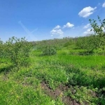 Парцел в с. Драчево, Област Бургас - 27389 кв.м за 4 €/кв.м - Снимка #1