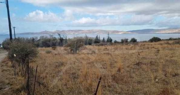 Парцел в с. Медово, Област Бургас - 4000 кв.м за 5 €/кв.м - Снимка #1