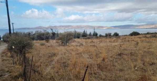 Парцел в с. Медово, Област Бургас - 4000 кв.м за 9 €/кв.м - Снимка #1