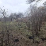 Парцел в с. Росен, Област Бургас - 1000 кв.м за 19 €/кв.м - Снимка #1