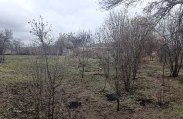 Парцел в с. Росен, Област Бургас - 1000 кв.м за 19 €/кв.м - Снимка #1