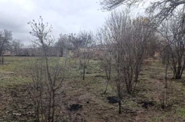 Парцел в с. Росен, Област Бургас - 1000 кв.м за 37 €/кв.м - Снимка #1