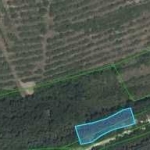 Парцел в с. Брестовица, Област Пловдив - 1288 кв.м за 10 €/кв.м - Снимка #1