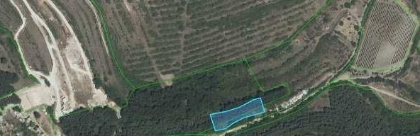 Парцел в с. Брестовица, Област Пловдив - 1288 кв.м за 10 €/кв.м - Снимка #1