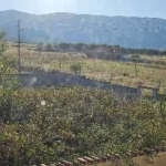 Парцел в с. Тополово, Област Пловдив - 578 кв.м за 122 €/кв.м - Снимка #1