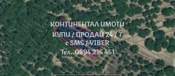 Земеделски имот в Стамболийски -  кв.м за 3315 €/дка - Снимка #1