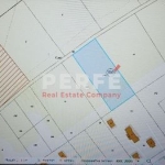 Парцел в Царево - 2700 кв.м за 76 €/кв.м - Снимка #1