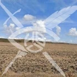 Земеделски имот в с. Черни връх, Област Бургас -  кв.м за 4434 €/дка - Снимка #1