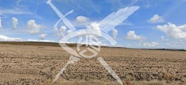 Земеделски имот в с. Черни връх, Област Бургас -  кв.м за 2261 €/дка - Снимка #1