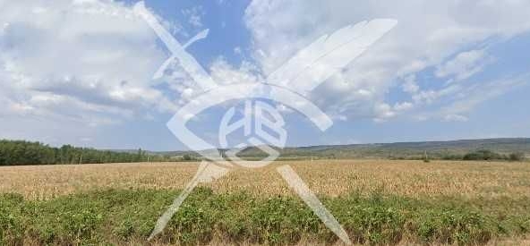 Земеделски имот в с. Ръжица, Област Бургас -  кв.м за 2834 €/дка - Снимка #1