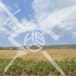 Земеделски имот в с. Ръжица, Област Бургас -  кв.м за 1445 €/дка - Снимка #1