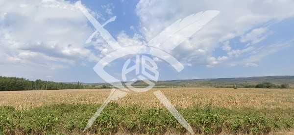 Земеделски имот в с. Ръжица, Област Бургас -  кв.м за 1445 €/дка - Снимка #1