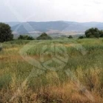 Парцел в София, Хладилника - 13600 кв.м за 78 €/кв.м - Снимка #1