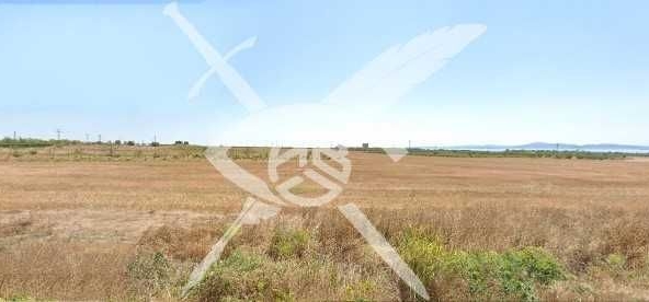 Парцел в Поморие - 2869 кв.м за 5 €/кв.м - Снимка #1