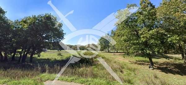 Парцел в с. Синеморец, Област Бургас - 500 кв.м за 57 €/кв.м - Снимка #1