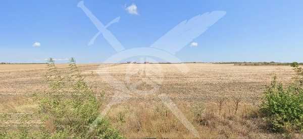 Земеделски имот в с. Съдиево, Област Бургас -  кв.м за 332 €/дка - Снимка #1