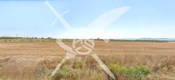 Парцел в Поморие - 2869 кв.м за 3 €/кв.м - Снимка #1