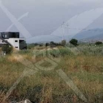 Парцел в Пловдив, Южен - 13600 кв.м за 77 €/кв.м - Снимка #1