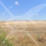 Парцел в Поморие - 495 кв.м за 102 €/кв.м - Снимка #1