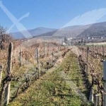 Земеделски имот в с. Марково, Област Пловдив -  кв.м за 63750 €/дка - Снимка #1