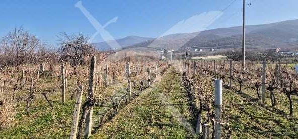 Земеделски имот в с. Марково, Област Пловдив -  кв.м за 63750 €/дка - Снимка #1