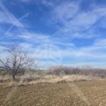 Земеделски имот в с. Цалапица, Област Пловдив -  кв.м за 3550 €/дка - Снимка #1