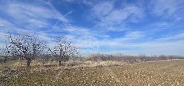 Земеделски имот в с. Цалапица, Област Пловдив -  кв.м за 3550 €/дка - Снимка #1