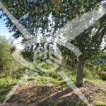 Парцел в София, Хладилника - 535 кв.м за 68 €/кв.м - Снимка #1