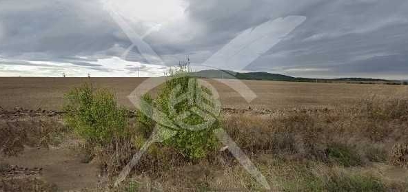 Земеделски имот в с. Росен, Област Бургас -  кв.м за 5215 €/дка - Снимка #1