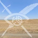 Парцел в София, Хладилника - 25806 кв.м за 121 €/кв.м - Снимка #1