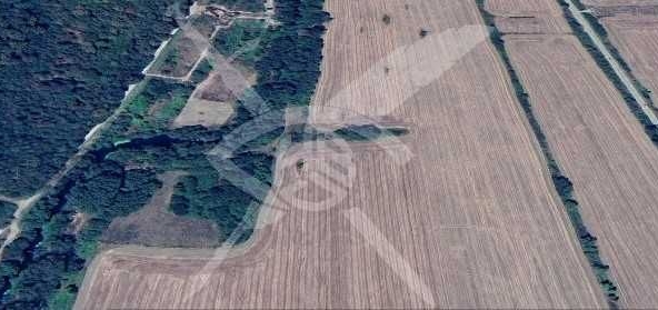 Земеделски имот в Обзор -  кв.м за 7140 €/дка - Снимка #1