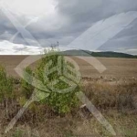 Земеделски имот в с. Росен, Област Бургас -  кв.м за 2660 €/дка - Снимка #1