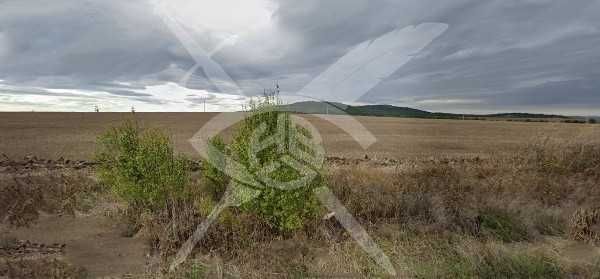 Земеделски имот в с. Росен, Област Бургас -  кв.м за 2660 €/дка - Снимка #1